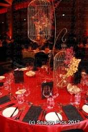NAB_5_17_IMG_3315.JPG